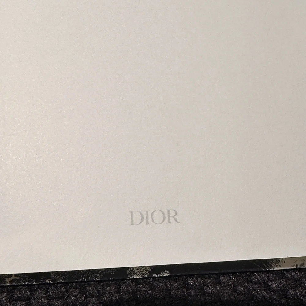 Christian Dior Notebook with Lion Design Unlined, Unused Gorgeous